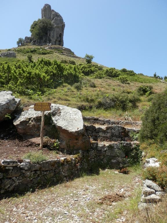 B&B Sa Funtana Cardedu Dış mekan fotoğraf