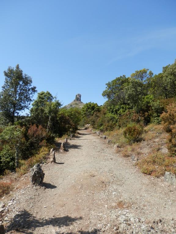 B&B Sa Funtana Cardedu Dış mekan fotoğraf