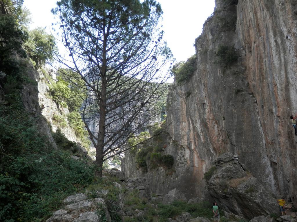 B&B Sa Funtana Cardedu Dış mekan fotoğraf