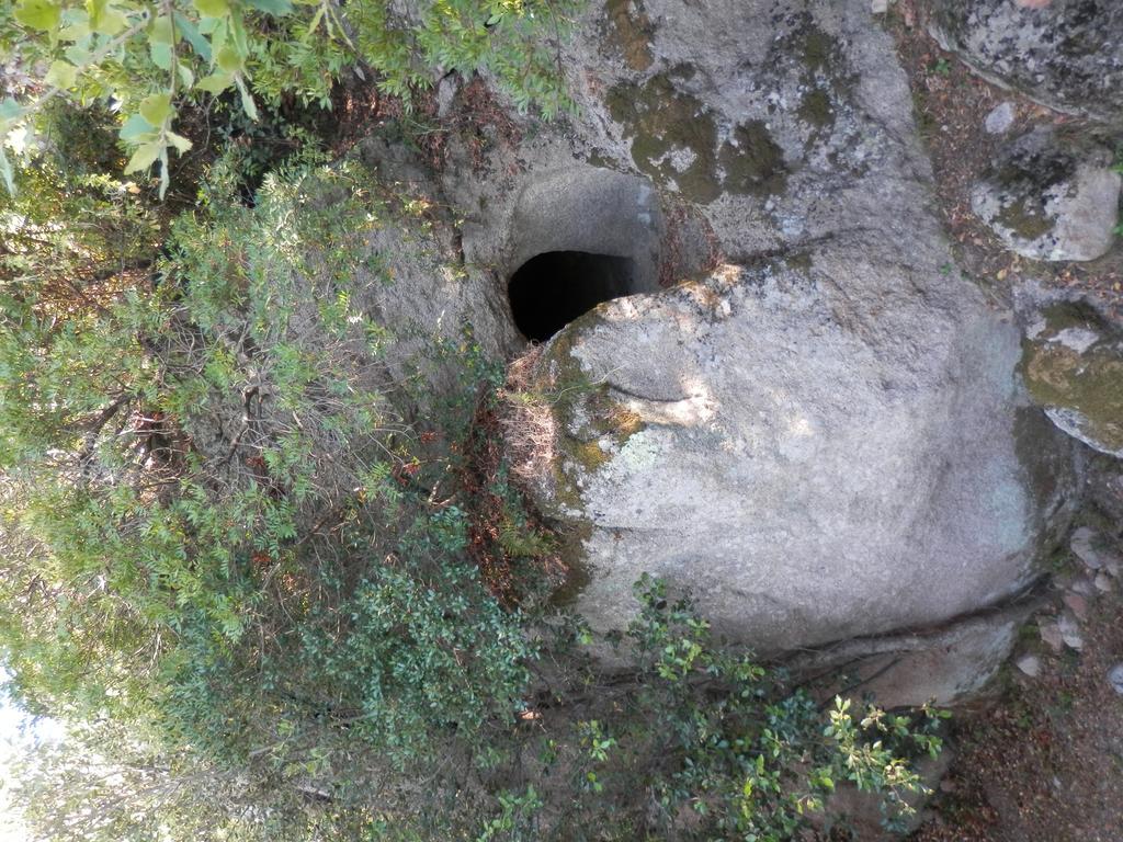B&B Sa Funtana Cardedu Dış mekan fotoğraf