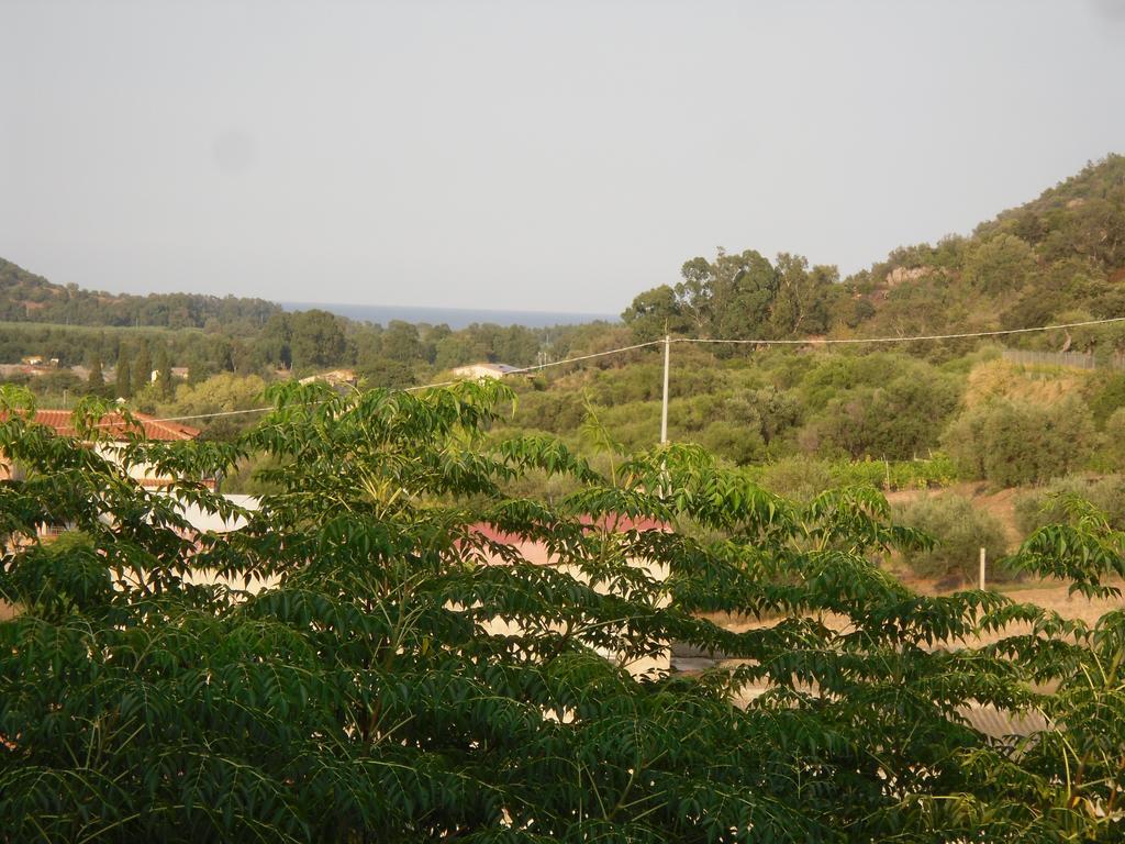 B&B Sa Funtana Cardedu Dış mekan fotoğraf