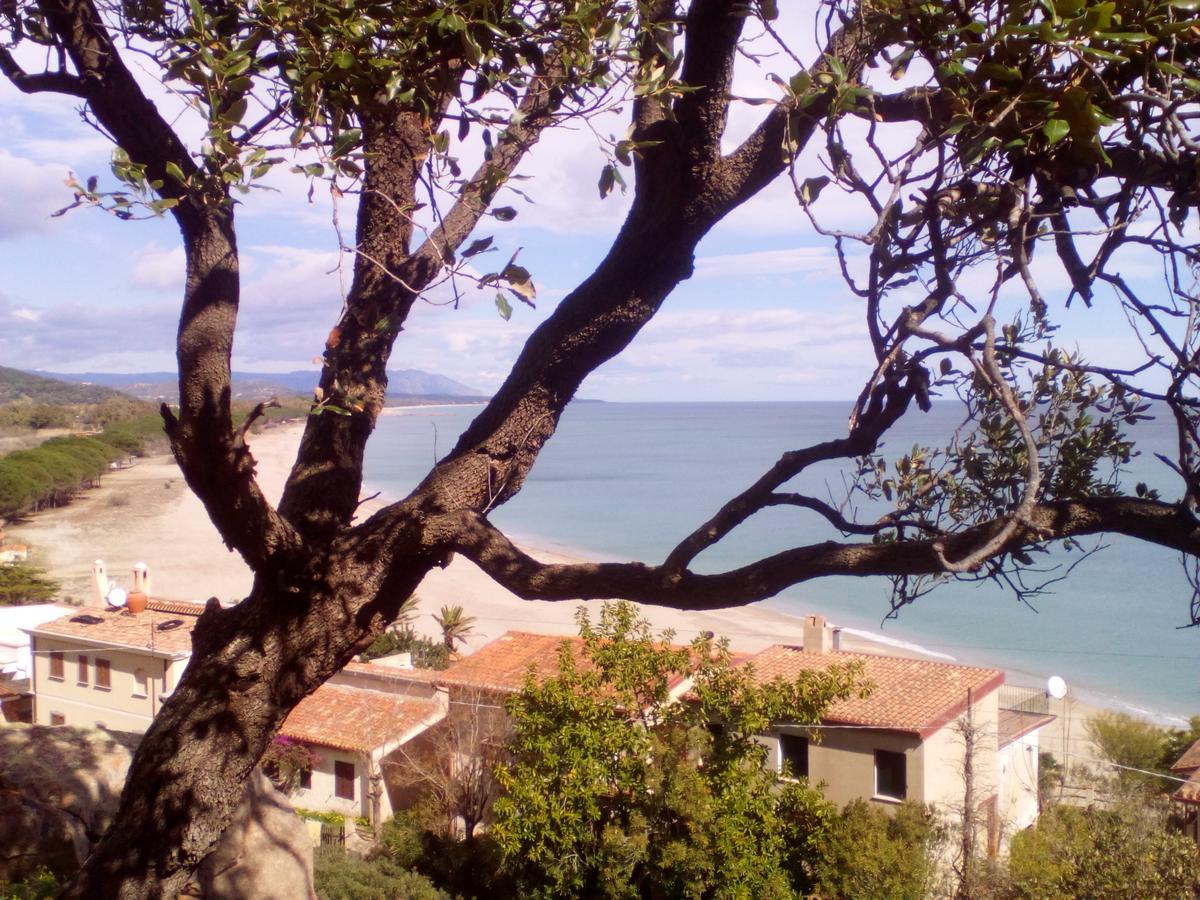 B&B Sa Funtana Cardedu Dış mekan fotoğraf